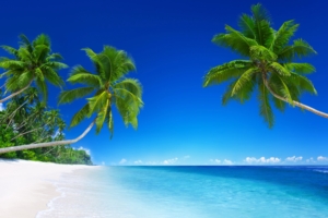 Tropical Beach Paradise 5K93191695 300x200 - Tropical Beach Paradise 5K - Tropical, Paradise, Beach